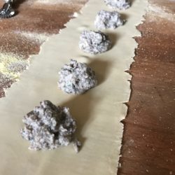 Mushroom Ravioli with Roasted Garlic Sauce