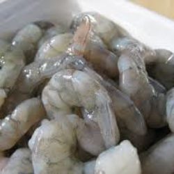 Shrimp