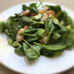 Shrimp and Avocado Salad